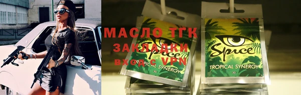 крисы Корсаков