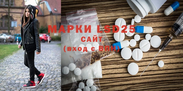 крисы Корсаков