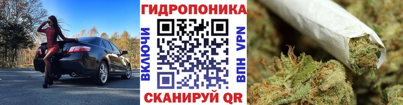 дарк нет телеграм  даркнет сайт  Николаевск  Шишки марихуана планчик 